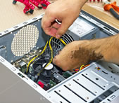 Servicios